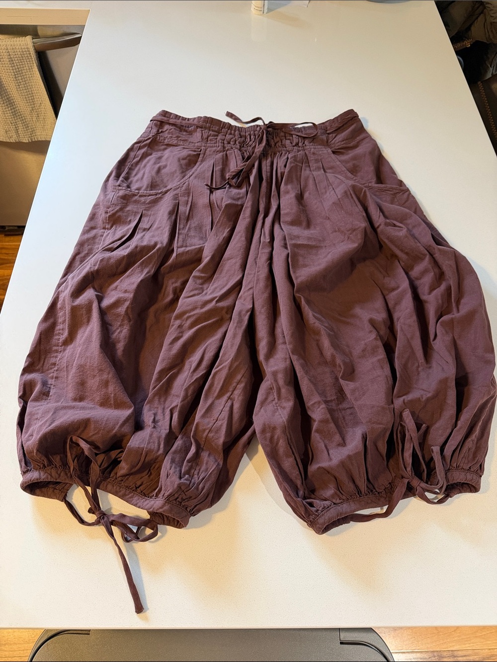 Free People Wide Leg Balloon Pants in Mauve Plum